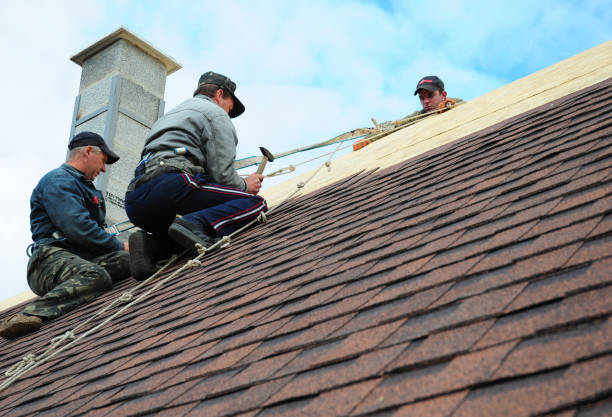 Best Roof Repair Specialists  in Hauser, ID